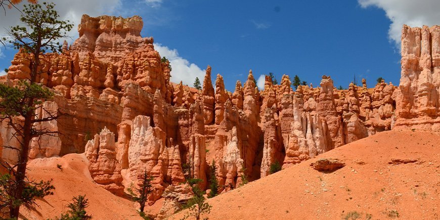 The beautiful orange hoodoos in Bryce Canyon National Park, USA: