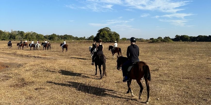 Horseback riding in Pantanal in Brazil
