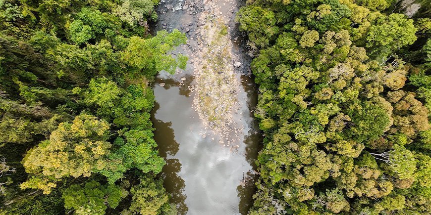 Ranomafana landscapes seen from above