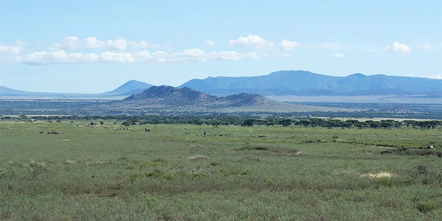 The open plains of the Serengeti