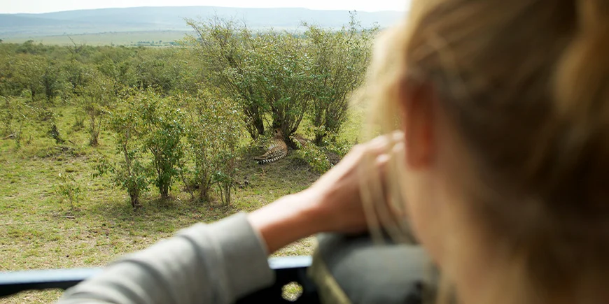 Woman taking a photo of a cheetah in Masai Mara