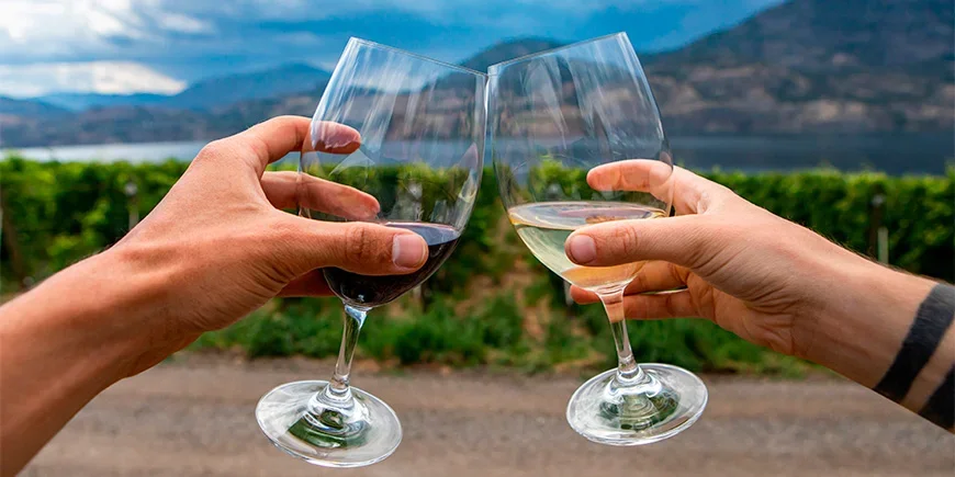 Couple toasting with wine in the Okanagan Valley, Canada