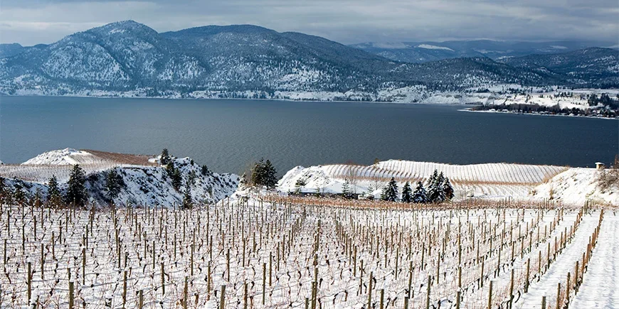 Winter landscapes in the Okanagan Valley, Canada