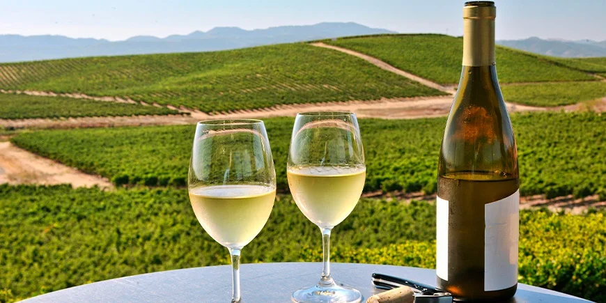 Two glasses of wine with a view of Napa Valley