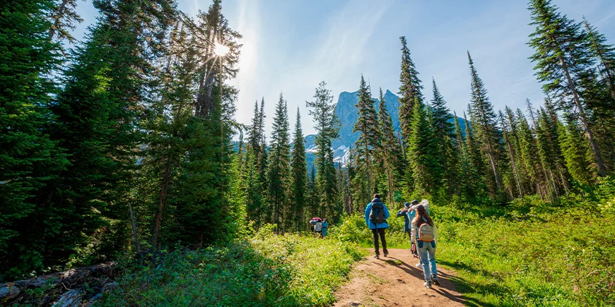 A group of people hiking in a forest in Canada