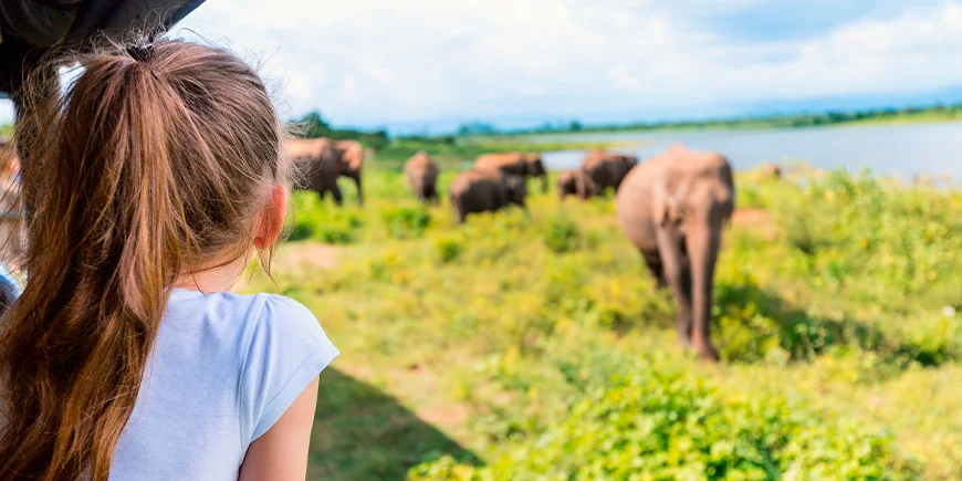 Girl on safari in Udawalawe