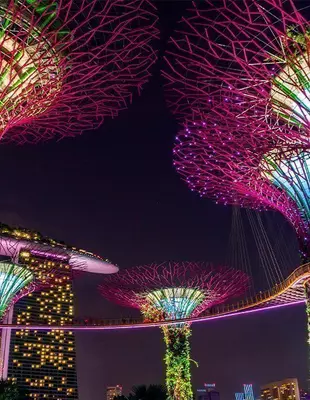 Supertree in Singapore at night