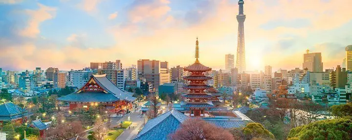 Tokyo skyline with temples and tall buildings