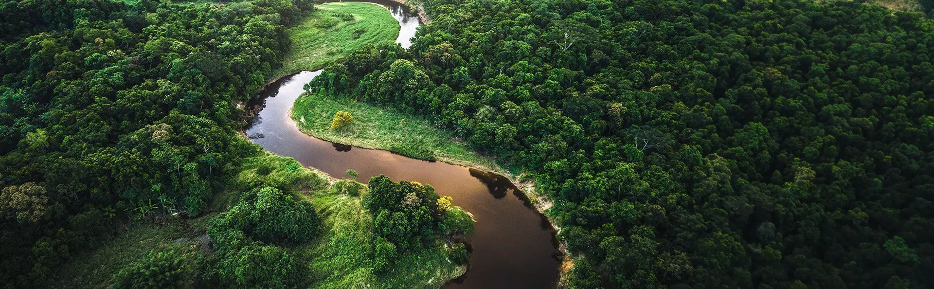 Aerial photo of the Amazon rainforest in Manaus, Brazil