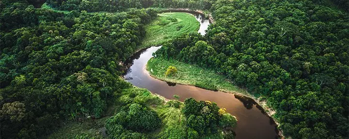 Aerial photo of the Amazon rainforest in Manaus, Brazil