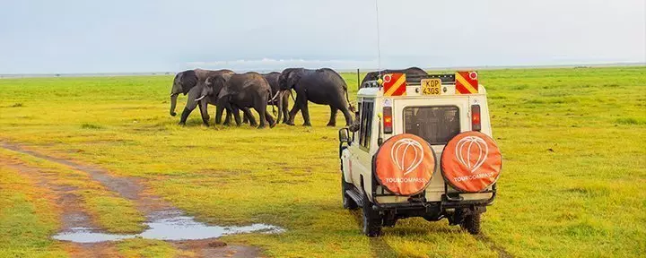 Safari car and elephants in Amboseli National Park, Kenya