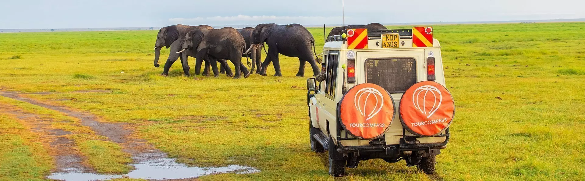 Safari car and elephants in Amboseli National Park, Kenya
