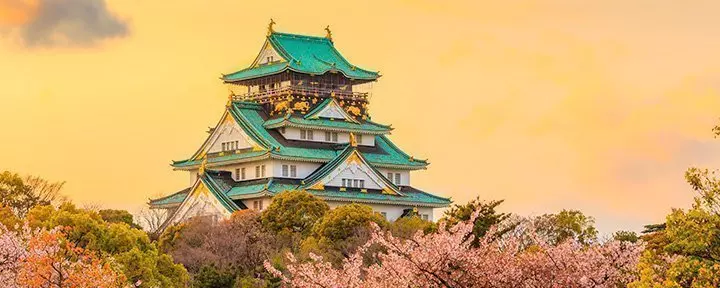 Osaka Castle during Sakura in Osaka, Japan
