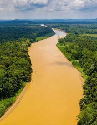 A cloudy day on the Kinabatangan River in Borneo
