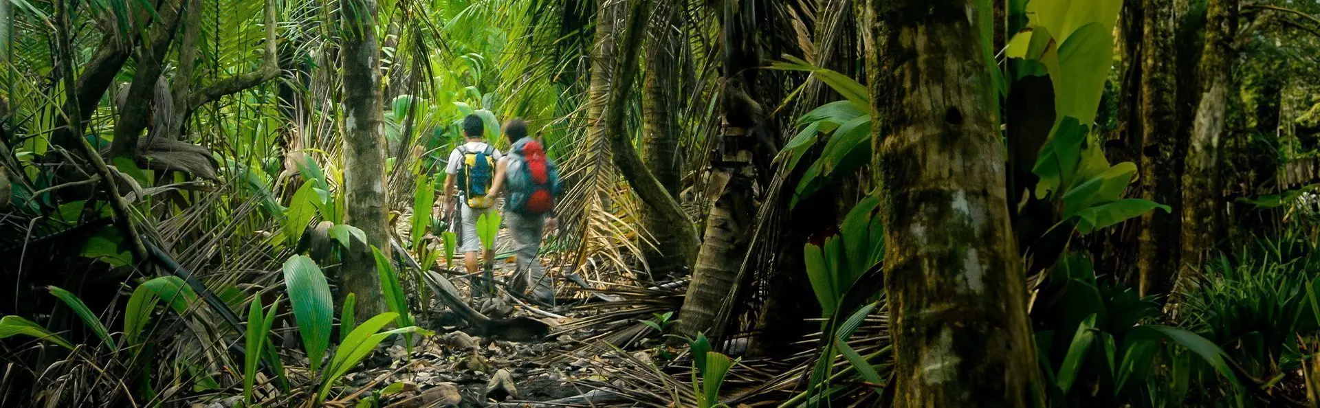 hikers in corcovado national park
