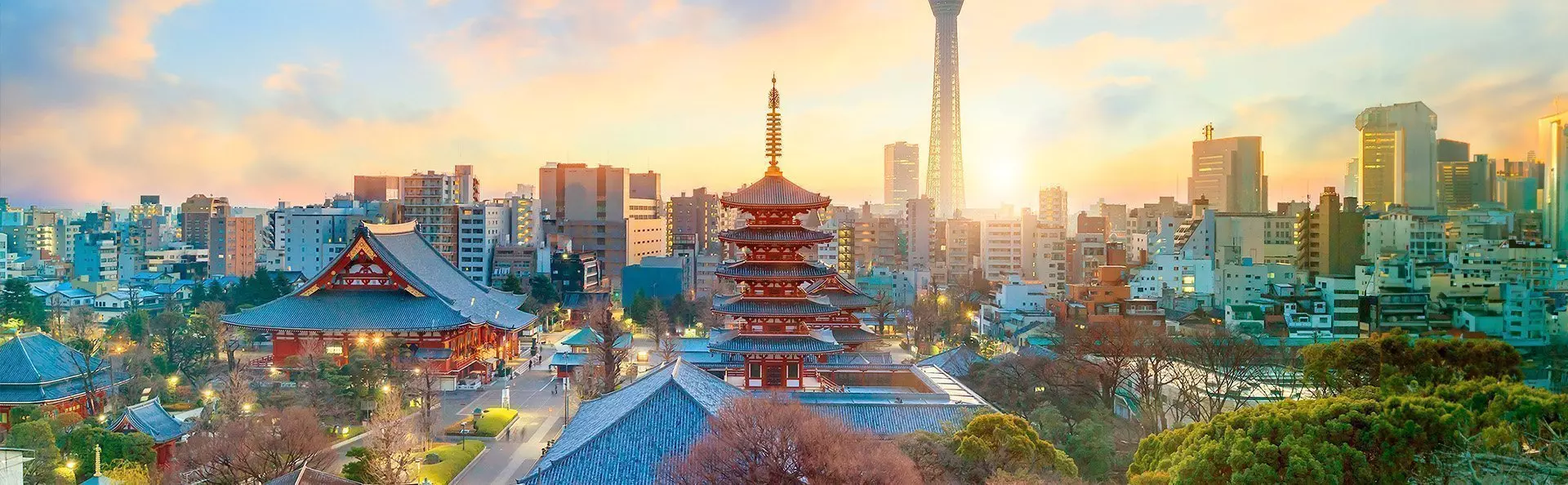 Tokyo skyline with temples and tall buildings