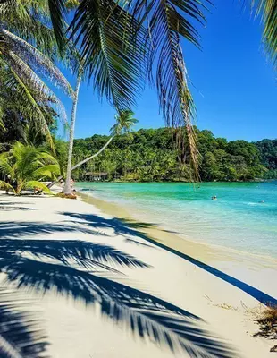 Tropical beach with palm trees on Koh Kood, Thailand