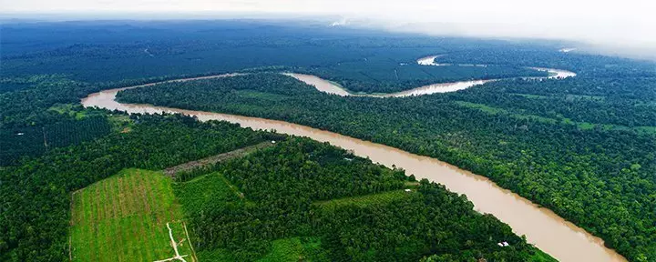 View of the Kinabatangan River in Borneo
